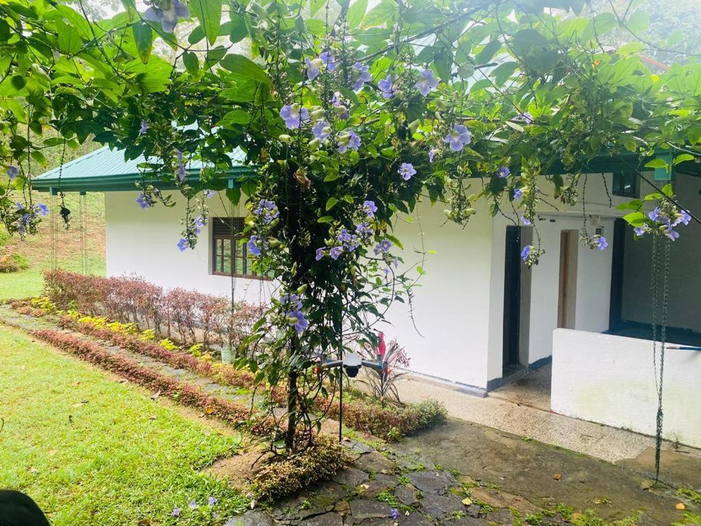 Tearamb Holiday Bungalow Otalawa Exterior foto
